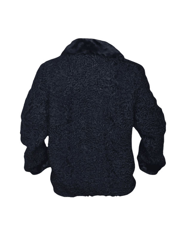 Outwear legacy Black Persian Lamb Fur with Mink Collar Jacket